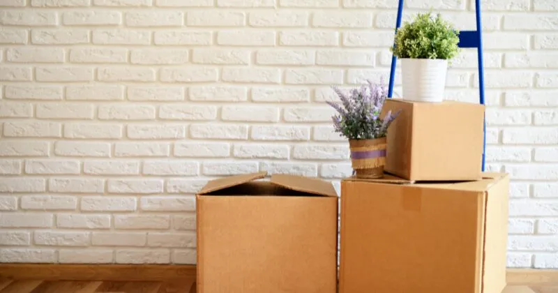 Moving boxes in a military family's new home, reflecting fewer PCS moves and long-term housing decisions